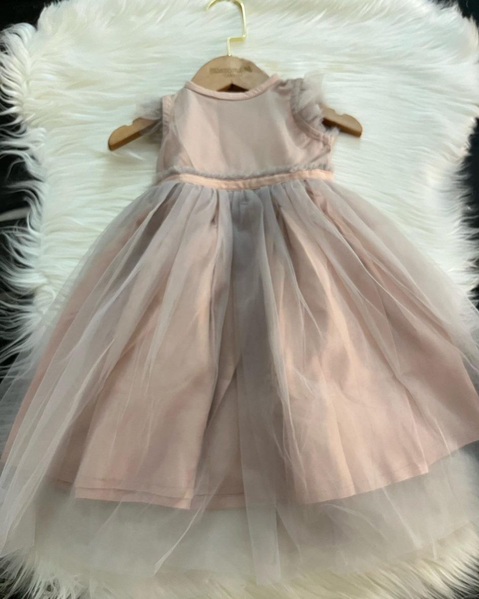 Ruffles Net Dress
