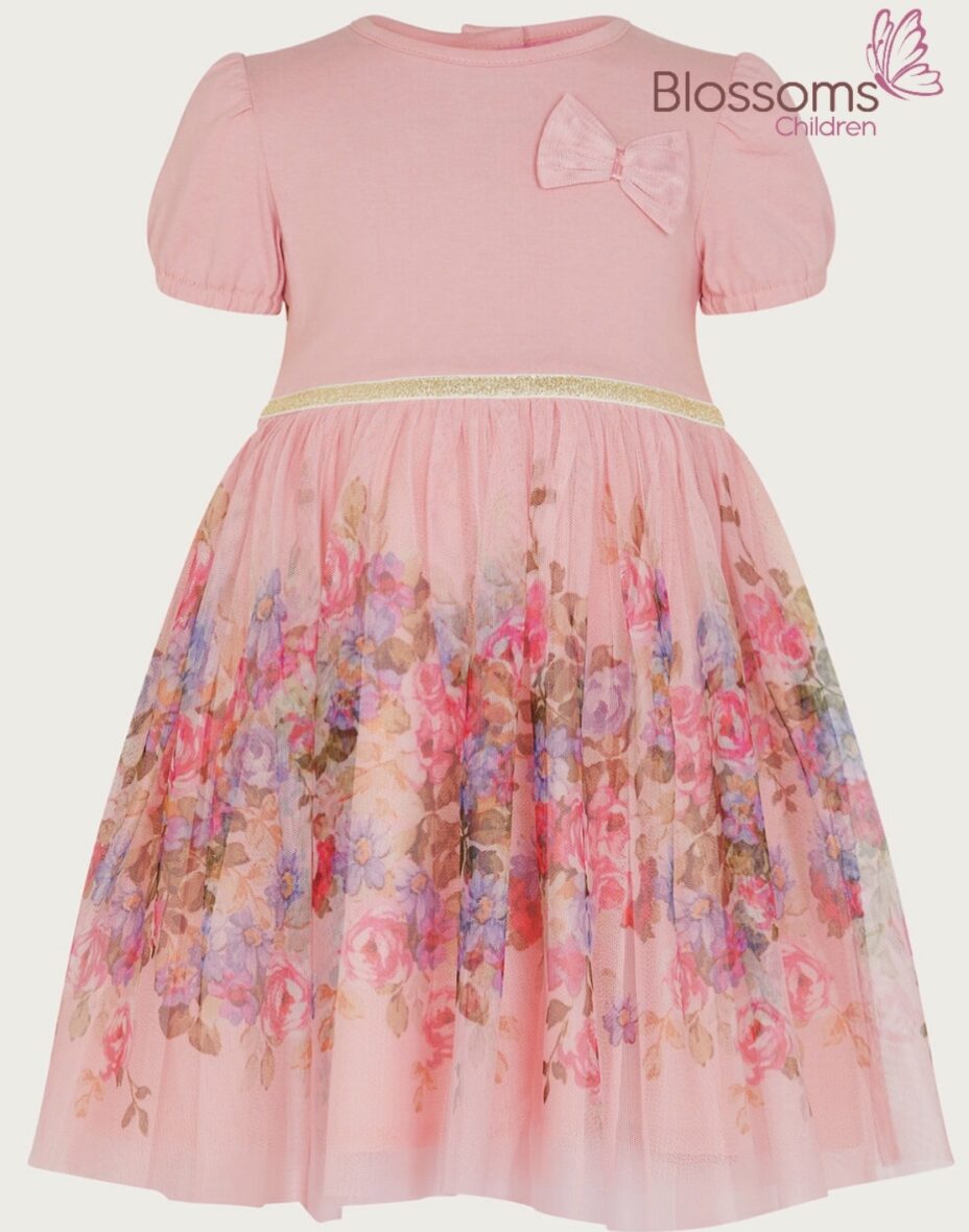 MONSOON POSEY PRINT DRESS