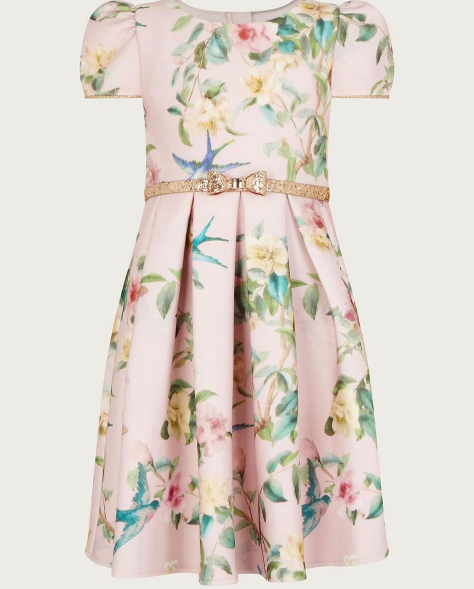Monsoon Scuba dress