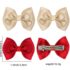 Hair Clip Shimmer mix