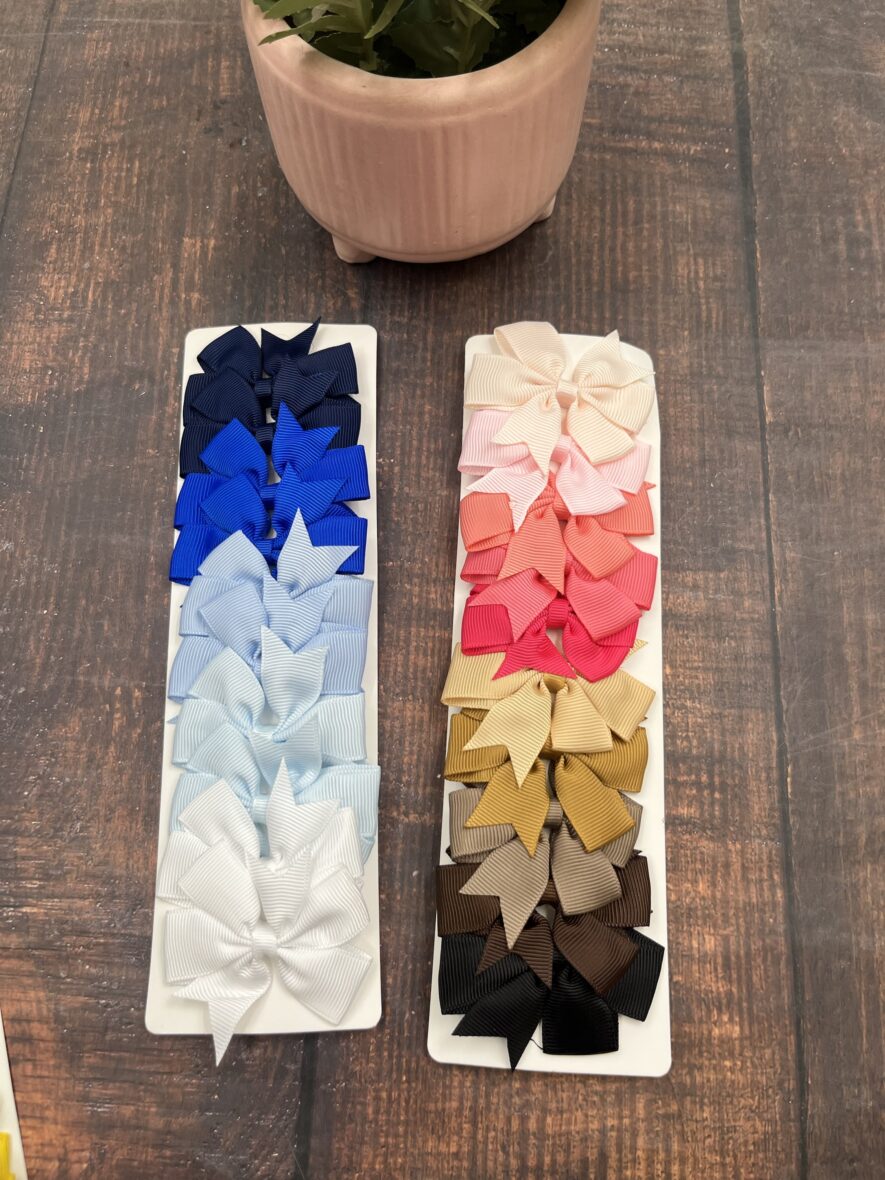Hair Clip ( Pack of 10)