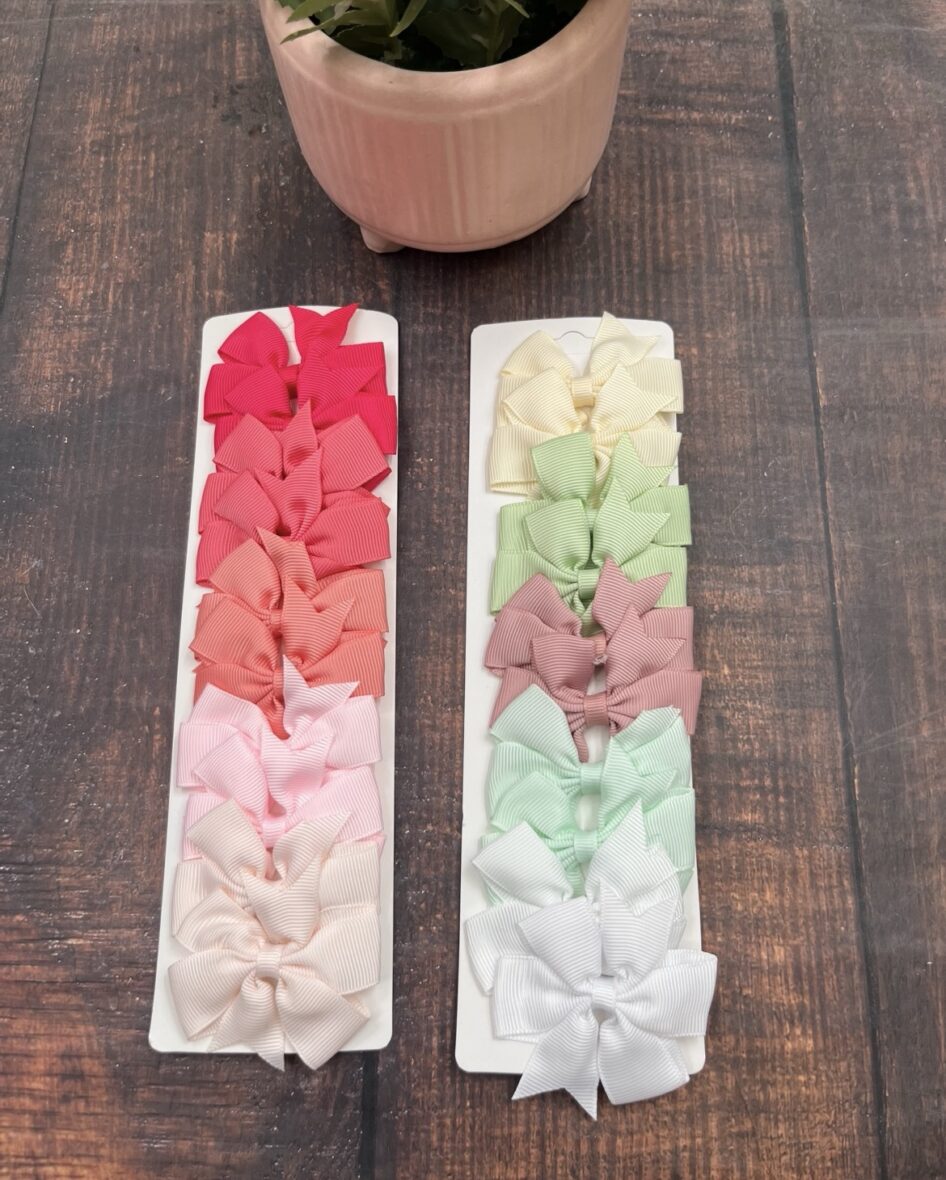 Hair Clip ( Pack of 10)