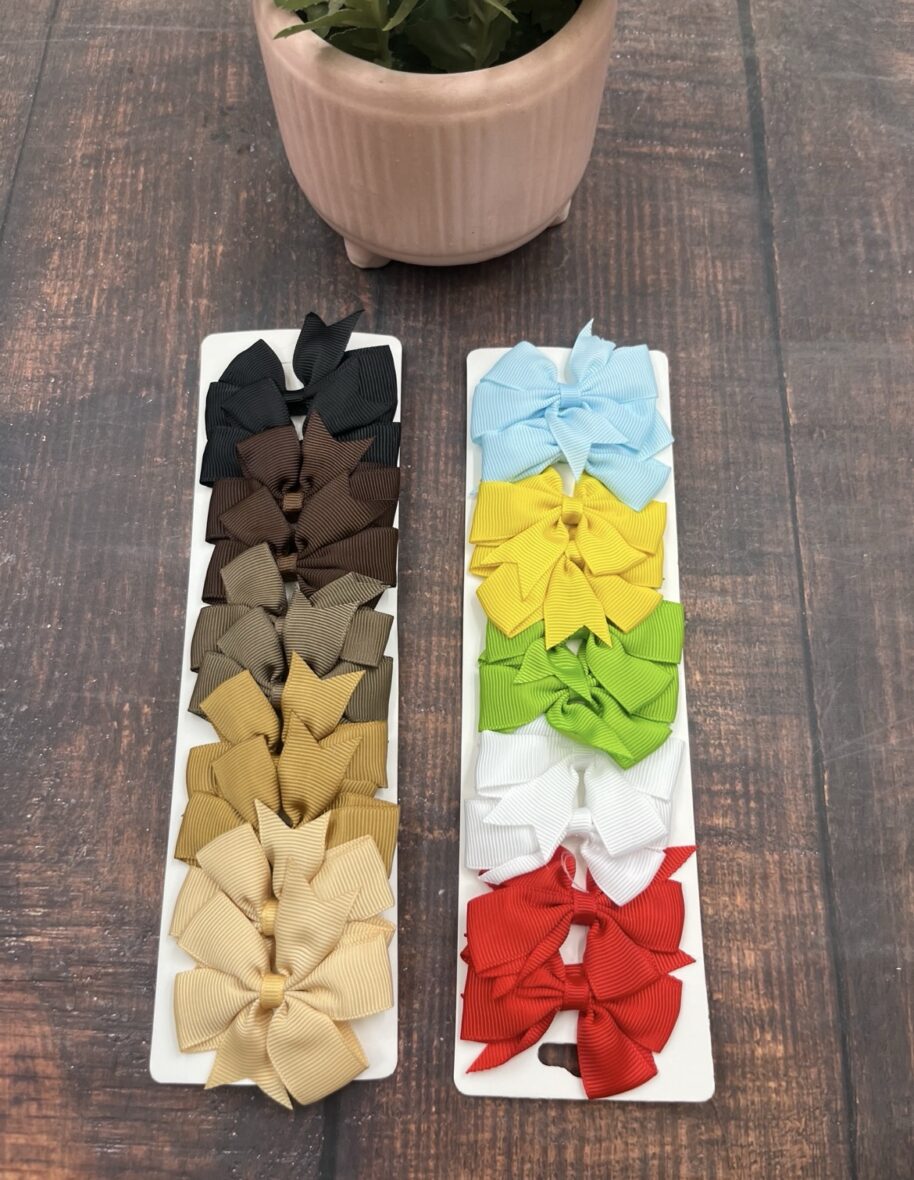 Hair Clip ( Pack of 10)