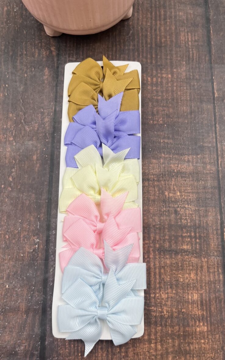 Hair Clip ( Pack of 10)