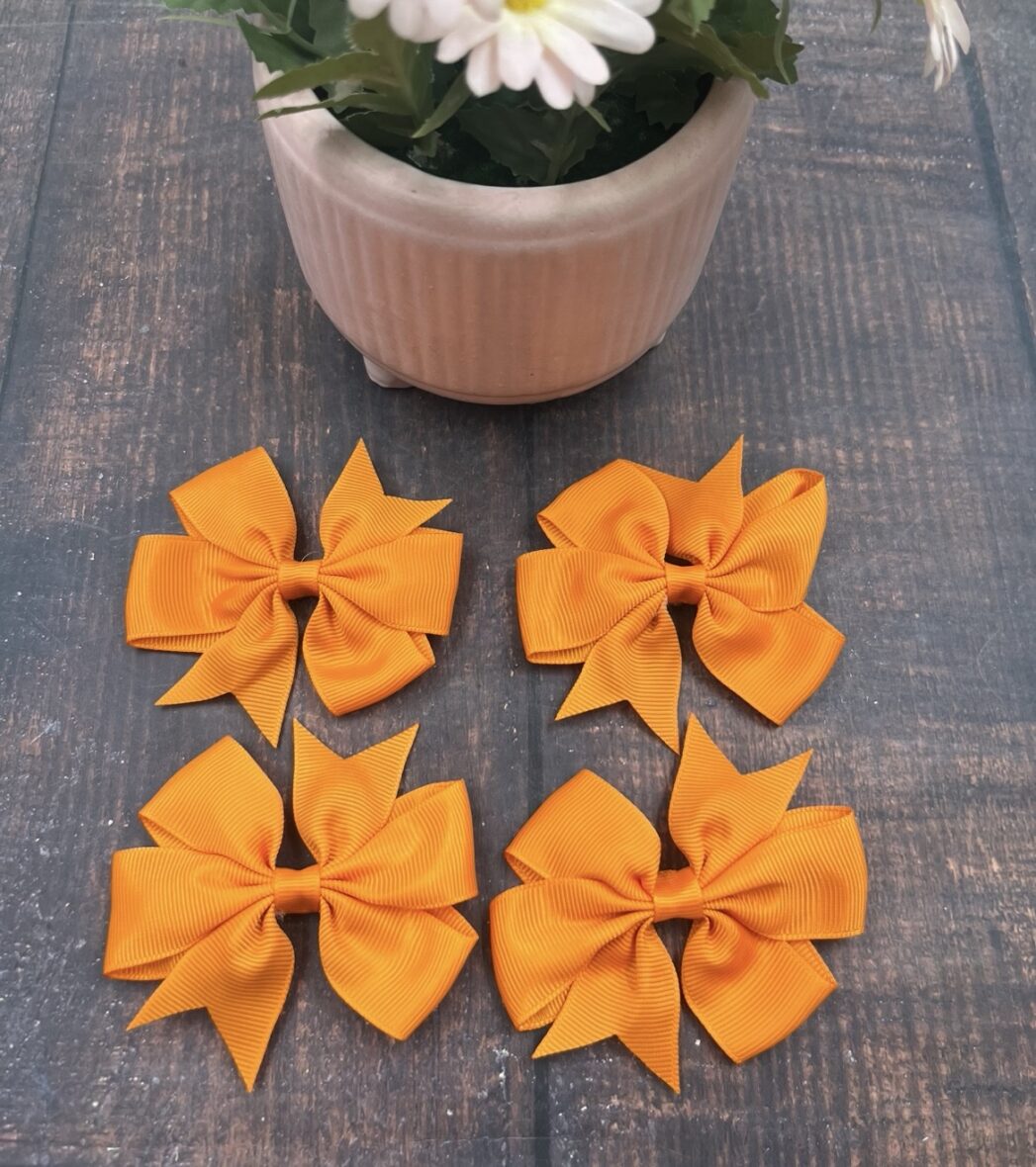 Hair Clip ( pack of 4)