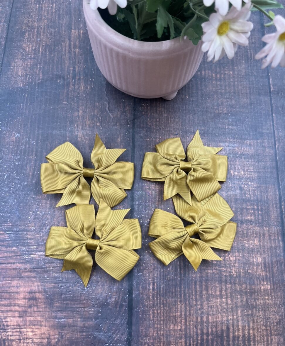 Hair Clip ( Pack of 4)