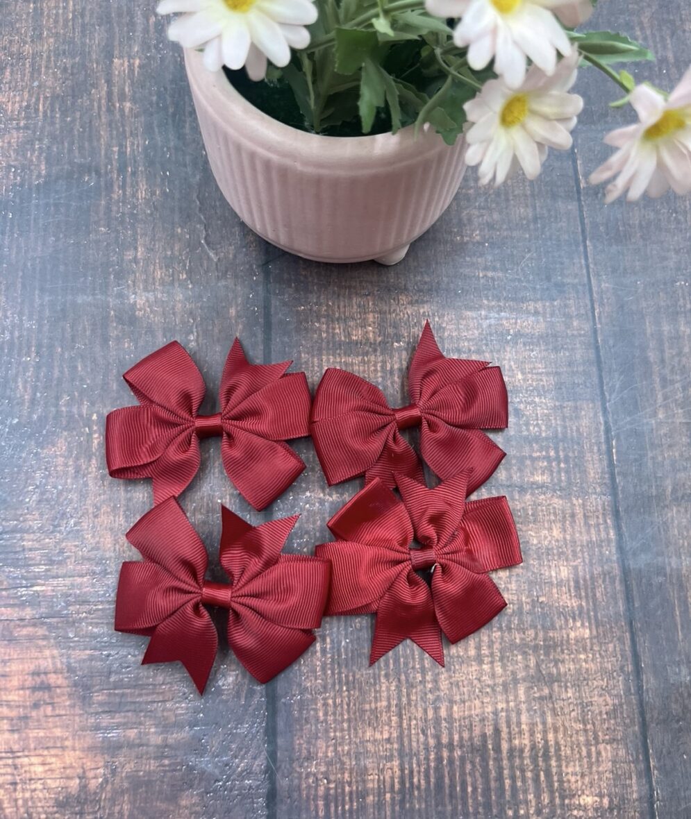 Hair Clip ( Pack of 4)