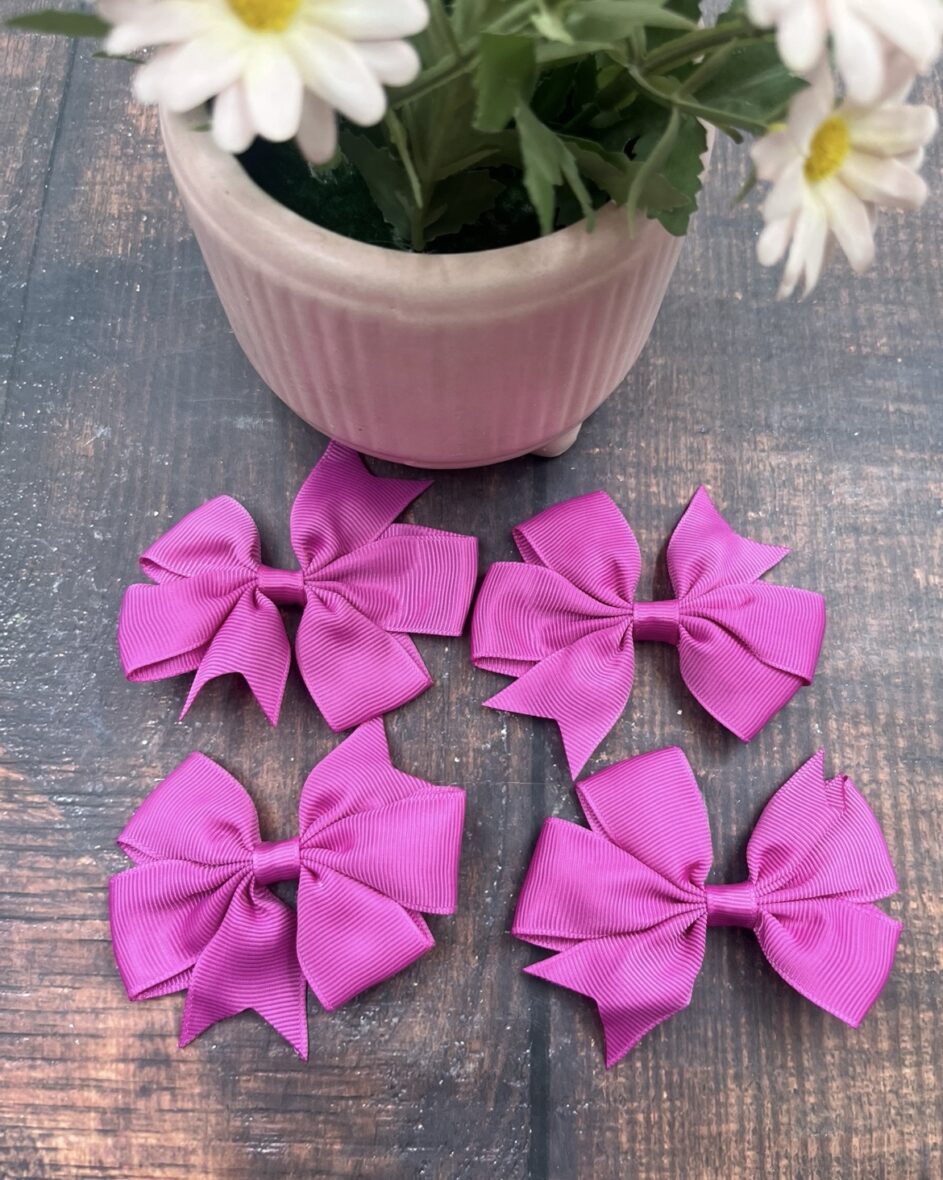 Hair Clip ( Pack of 4)